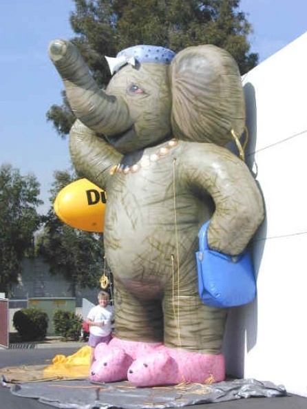 Gery Blue Custom Inflatable