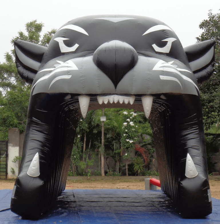 Fb Panthers 1